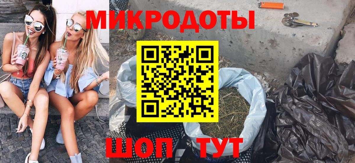 Псилоцибиновые грибы Psilocybine cubensis Котлас