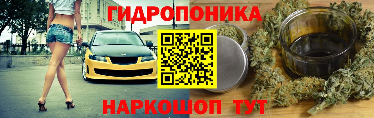 Каннабис Amnesia  Вход с VPN  Котлас  Бошки Шишки Amnesia  Шишки марихуана конопля 